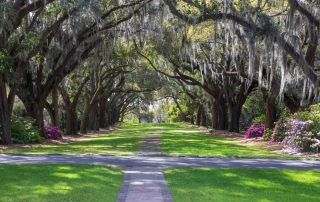 Urgent Care In West Ashley, SC