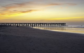 Rapid and PCR Covid-19 Testing, Isle Of Palms, SC